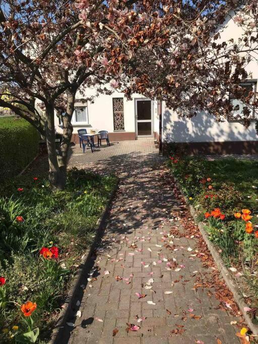 Ferienwohnung Auf Dem Land Und Doch Ganz Nah Krolpa Exterior foto